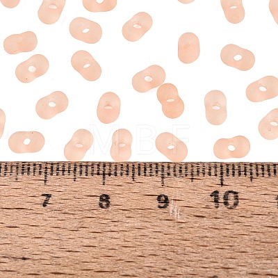 FGB Frosted Transparent Glass Seed Beads SEED-N013-06A-04-1