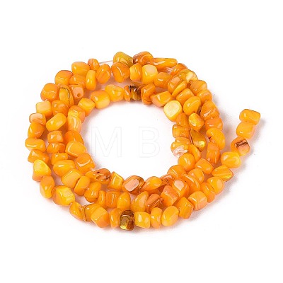 Natural Freshwater Shell Beads Strands SHEL-N037-04G-1
