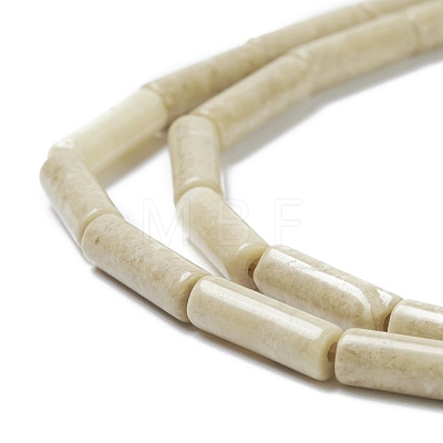 Natural Fossil Beads Strands G-H269-02-1