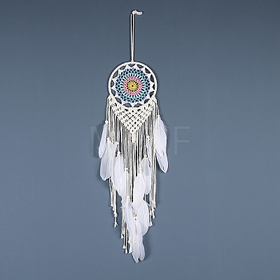 Iron Bohemian Woven Web/Net with Feather Macrame Wall Hanging Decorations PW-WG41914-06-1