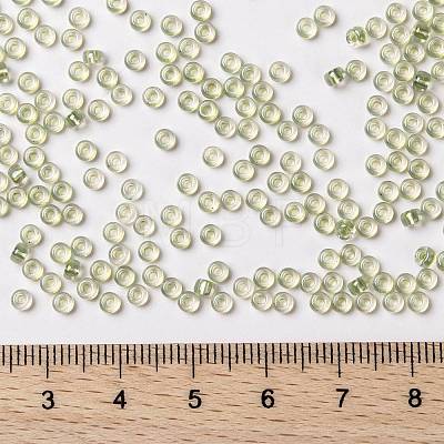 MIYUKI Round Rocailles Beads X-SEED-G008-RR1135-1