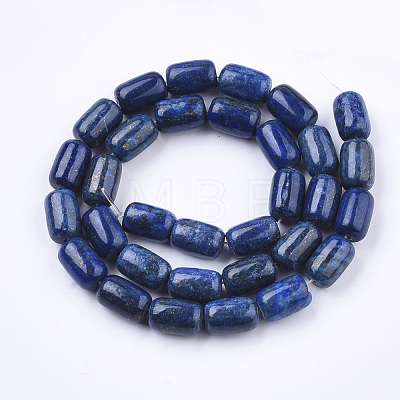Natural Lapis Lazuli Beads Strands X-G-T126-01-1