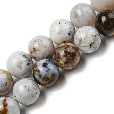 Natural Dendritic Opal Beads Strands G-R494-A16-03-1