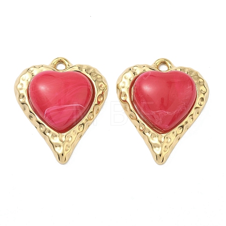 304 Stainless Steel & Resin Pendants STAS-G371-18G-05-1