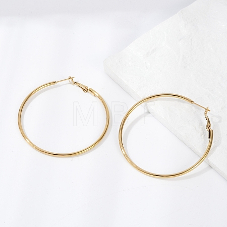 201 Stainless Steel Hoop Earrings LS-EJEW-F188-24G-C-1