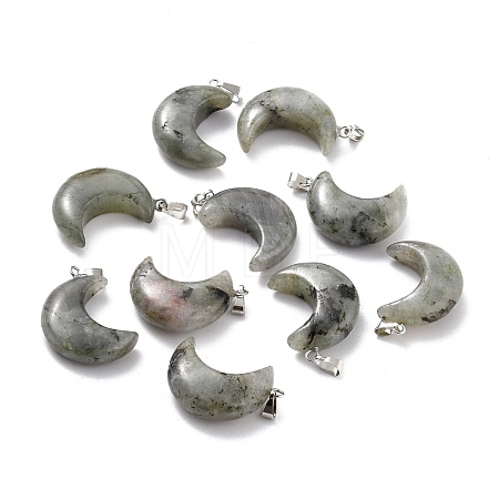 Natural Labradorite Pendants G-Z022-02A-1