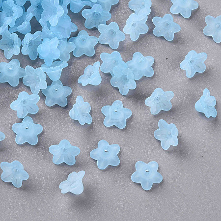 Transparent Acrylic Beads X-PL554-12-1