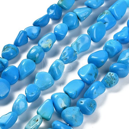 Natural Howlite Beads Strands LS-G-P497-01E-37-1