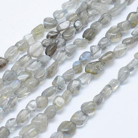 Natural Labradorite Beads Strands G-K203-12-1