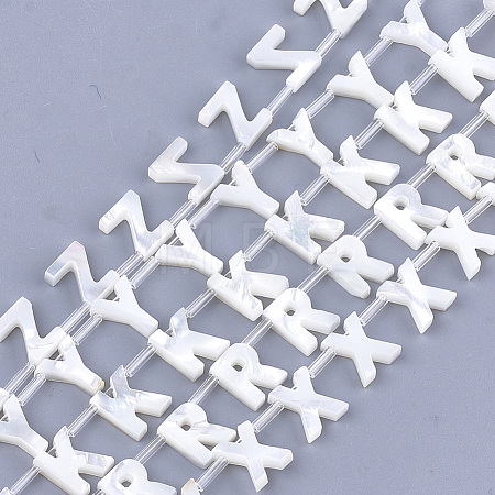 Natural Sea Shell Beads SHEL-T012-60-1