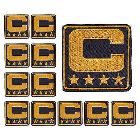 Computerized Embroidery Cloth Iron on/Sew on Patches PATC-WH0006-91C-1