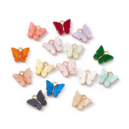 Acrylic Charms MACR-C012-01KCG-1
