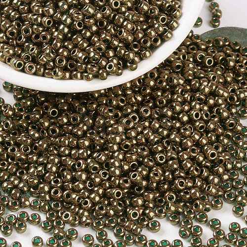 MIYUKI Round Rocailles Beads SEED-G008-RR0307-1