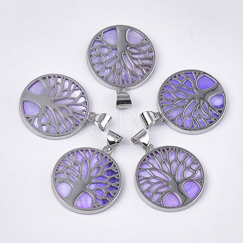 Freshwater Shell Pendants SHEL-S275-01H-1