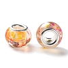 Transparent Two-Color Brass Cores Acrylic European Beads OACR-M024-05P-05-2