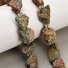Natural Unakite Beads Strands GG-CBA0B77-A16-03-1