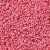 Baking Paint Glass Seed Beads SEED-P006-03A-08-3