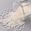 12/0 Grade A Round Glass Seed Beads SEED-N001-B-332-1