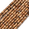 Natural Picture Jasper Beads Strands G-P608-A12-01-2