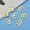 304 Stainless Steel Charms LS-X-STAS-P141-E-6