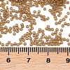 MIYUKI Round Rocailles Beads X-SEED-G009-RR2372-3