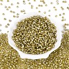 Silver Lined Glass Seed Beads SEED-T007-18A-05-2