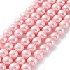 Shell Pearl Bead Strands X-BSHE-L025-06-8mm-2