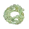 Natural Prehnite Beads Strands G-R445-8x10-25-01-5