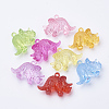 Transparent Acrylic Pendants TACR-T002-06-1