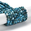 Natural Apatite Beads Strands G-J400-E01-03-1
