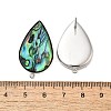 304 Stainless Steel Pave Natural Paua Shell Stud Earring Findings STAS-Z125-06P-3