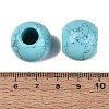 Synthetic Turquoise Beads G-Q608-05I-3