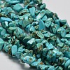 Chips Synthetic Turquoise Beads Strands LS-G-N0134-08A-1
