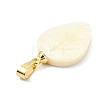 Natural Freshwater Shell Carved Pendants PALLOY-JF05288-01-3