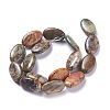 Natural Picasso Jasper Bead Strands G-P444-02-2