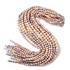 Natural Cultured Freshwater Pearl Beads Strands PEAR-C004-16-4
