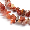 Natural Carnelian Beads Strands G-P332-04-2