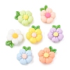 Opaque Resin Cabochons RESI-F072-04-1