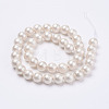 Wrinkle Textured Shell Pearl Beads Strands X-BSHE-F013-02-10mm-2