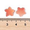 Imitation Candy Food Style Resin Cabochons RESI-R461-02A-4