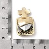 Alloy Rhinestone Pendants FIND-H055-11G-4