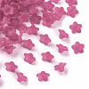 Transparent Acrylic Beads PL554-04-1