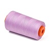 Polyester Machine Embroidery Threads FB-CBA4738-01F-2