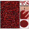 3000Pcs Glass Seed Beads SEED-PA0001-29A-01-5