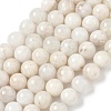 Natural White Moonstone Beads Strands G-F674-08-8mm-01-6