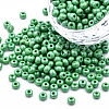 6/0 Czech Opaque Glass Seed Beads SEED-N004-003D-02-1