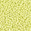 Baking Paint Glass Seed Beads SEED-T006-03D-2