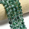 Natural Malaysia Jade Beads Strands G-L645-C01-10mm-03-3