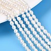 Natural Nucleated Pearl Beads Strands PEAR-N012-02P-01-1