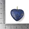 Dyed Natural Lapis Lazuli Pendants G-P585-03G-07-6